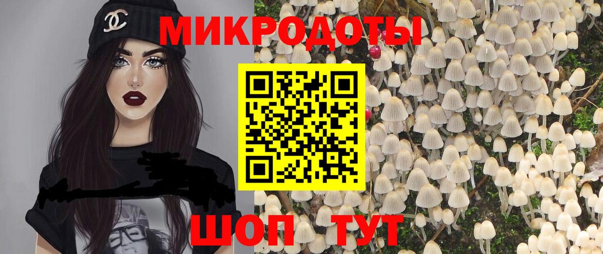 Галлюциногенные грибы Psilocybe Кимры