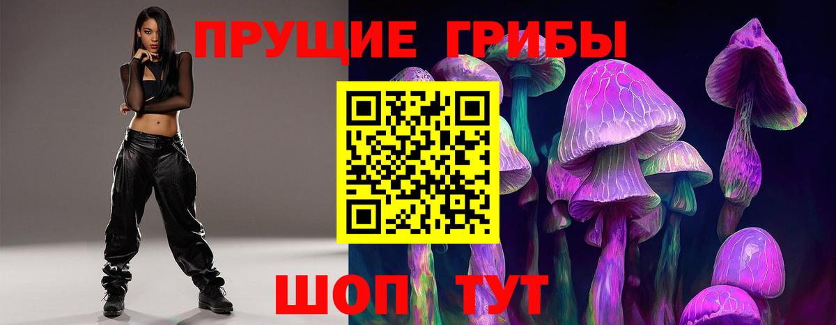Галлюциногенные грибы прущие грибы  Вход с VPN  Кимры 